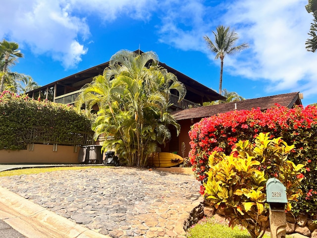 Mango Suite(マンゴスイート)