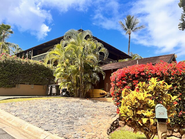 パパイヤスイート