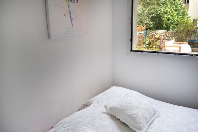 アイン ボケク ローズ イン エイラット