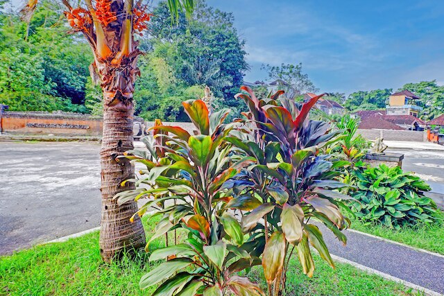 コレクション O バリ ニア ターミナル ウブン フォーマリー バトゥカル ガーデン ホテル