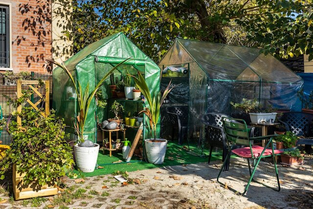 パラジーナ・カラッチ - アパルタメント・タランティーノ