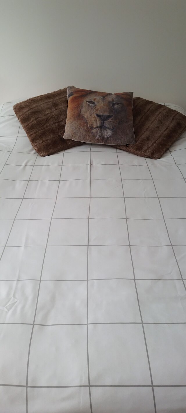 ライオネスB＆B