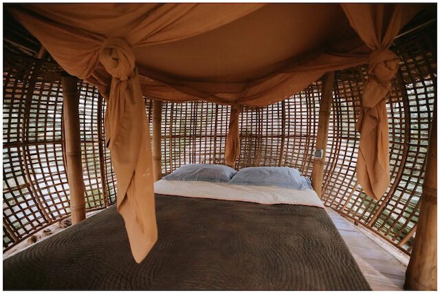 ファイアフライ エコ ロッジ