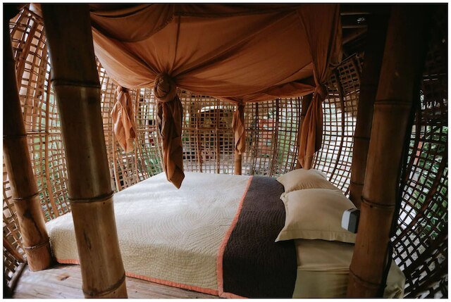 ファイアフライ エコ ロッジ