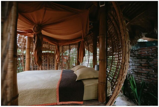 ファイアフライ エコ ロッジ