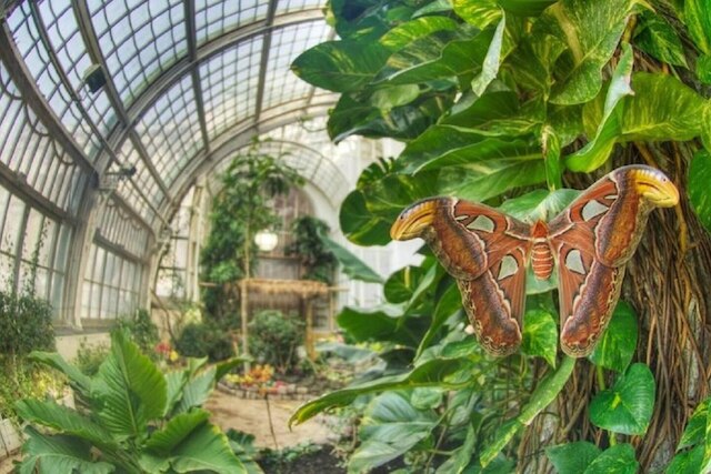 コージー デザイナー ベ Bド アパートメント イン ハート オブ ウィーン