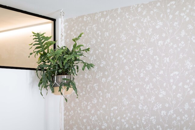 アーバンジャングルアパートメンツ