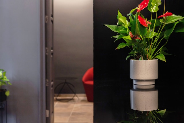 ザ・センダル・ブティックホテル