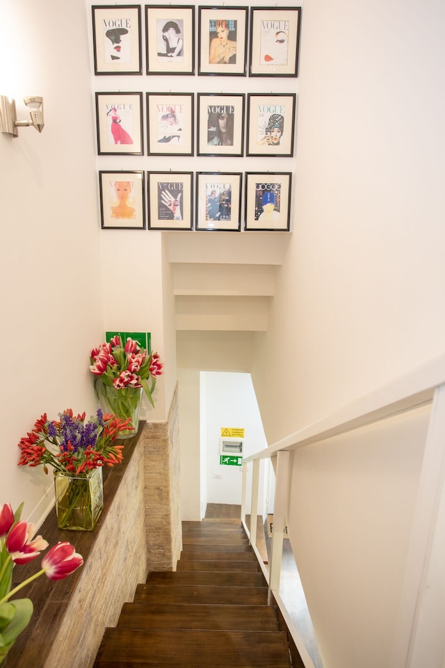 ロマンティカサ ナヴォナ