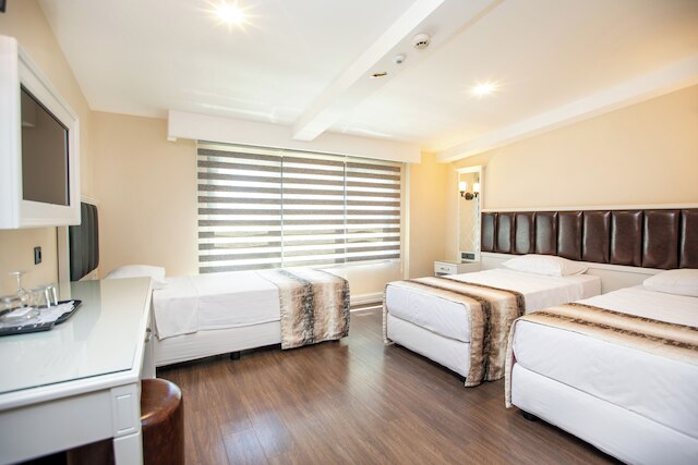 オパティヤホテル