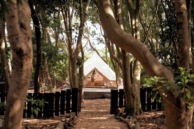 small planet CAMP&GRILL