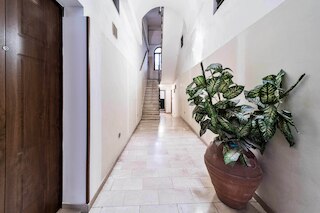 ニューハウス デイ ミッレ