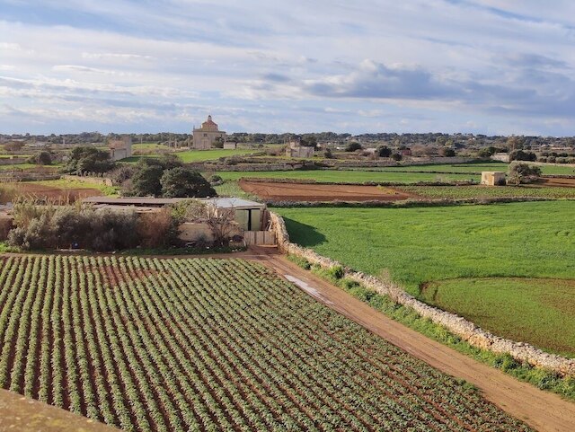 ジョセルセ ゲストハウス