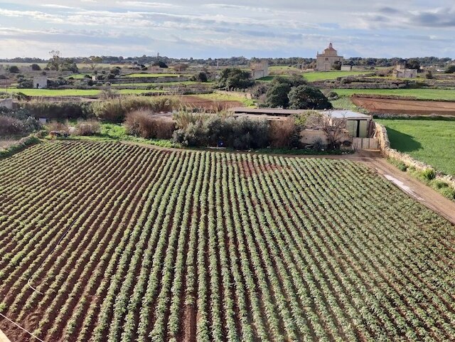 ジョセルセ ゲストハウス