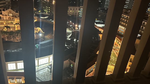 ベニスレックス