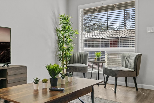 スタイリッシュ 1 ベッドルーム ジルカー エボニフィ