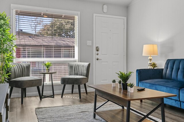 スタイリッシュ 1 ベッドルーム ジルカー エボニフィ