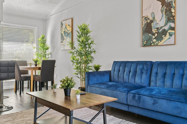 スタイリッシュ 1 ベッドルーム ジルカー エボニフィ