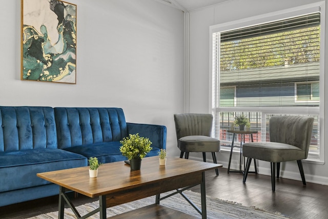 スタイリッシュ 1 ベッドルーム ジルカー エボニフィ