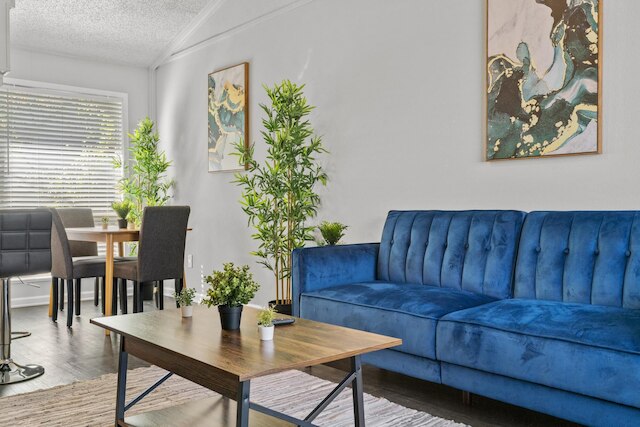 スタイリッシュ 1 ベッドルーム ジルカー エボニフィ