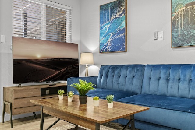 スタイリッシュ スタジオ ダウンタウン エボニフィ