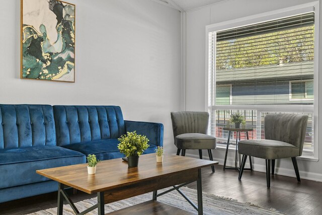 スタイリッシュ 1 ベッドルーム ジルカー エボニフィ