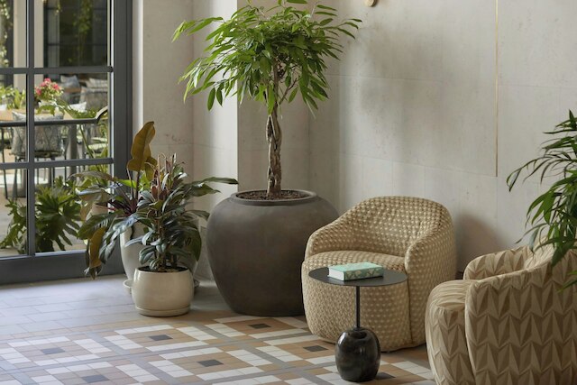 ストラドム ハウス  オートグラフ コレクション