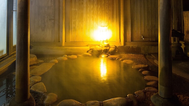 肘折温泉 優心の宿 観月