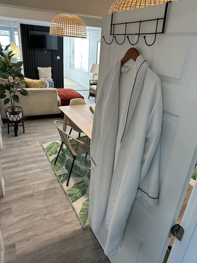 モダントロピカルダウンタウンオーランド