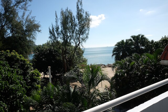 Bellagio Pets Friendly Resort