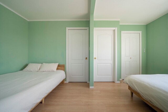 The Garnet Higashikawa