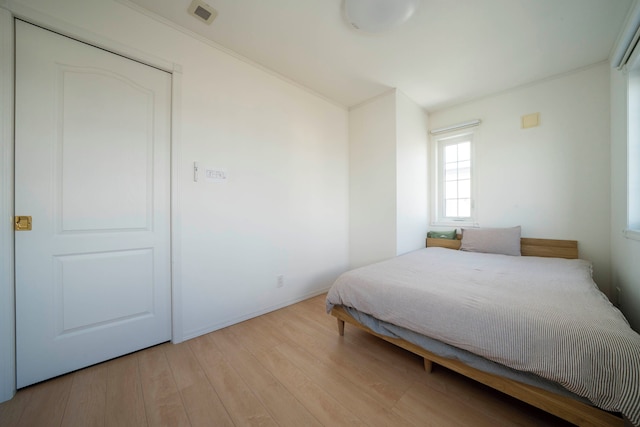 The Garnet Higashikawa