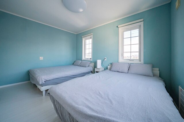 The Garnet Higashikawa