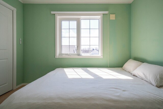 The Garnet Higashikawa