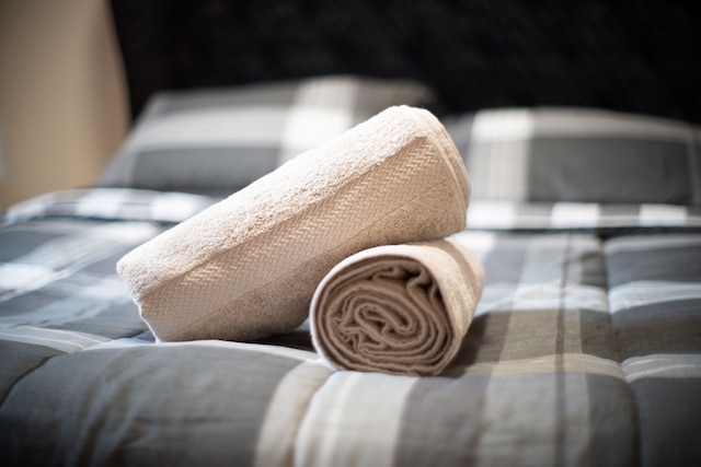 チック2BR ニア リトルイタリー 5分 メトロへ