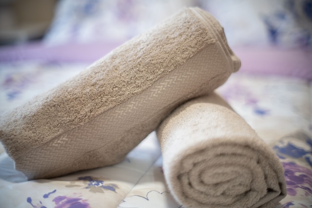 チック2BR ニア リトルイタリー 5分 メトロへ