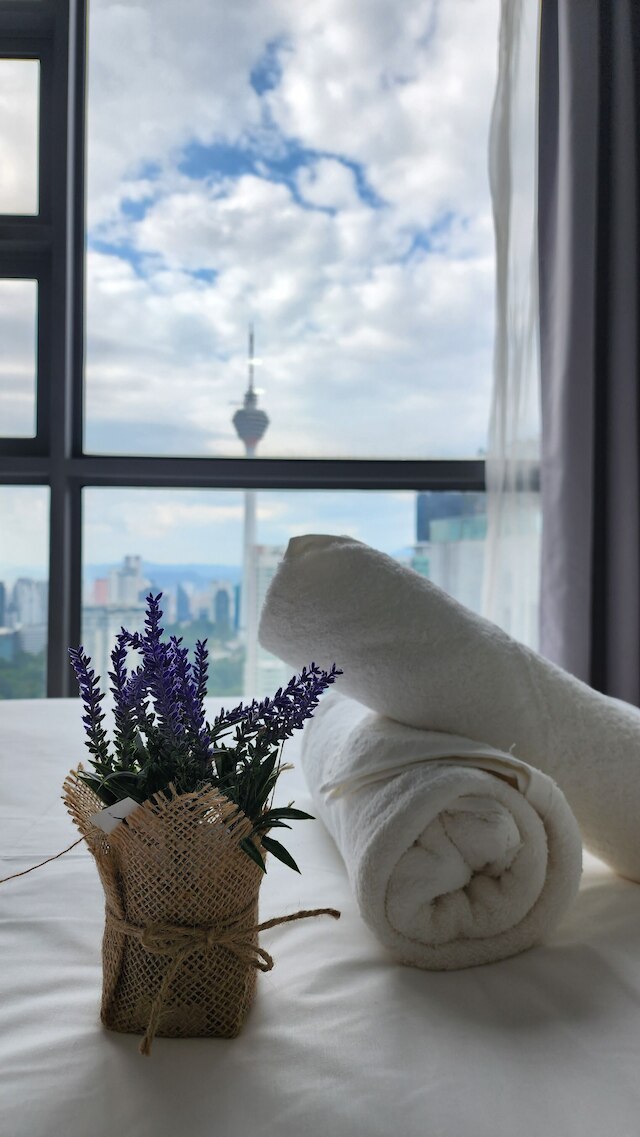 ザ・ロバートソン レジデンス