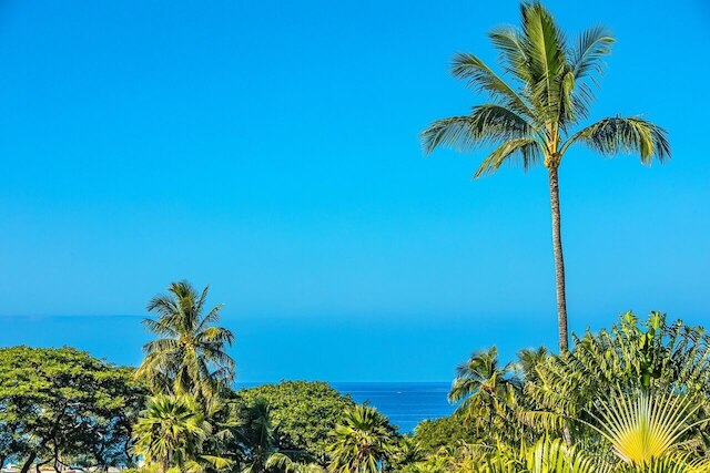 パームズ アット ワイレア ツーベッドルーム - パーシャルオーシャンビュー バイ コールドウェルバンカー アイランドバケーションズ