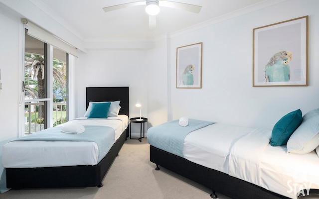 モロッカン - Q ステイ