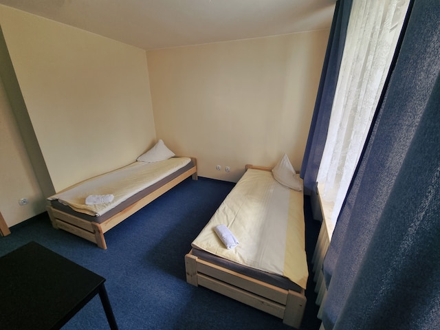 ウィラノウ ハウス - ホステル