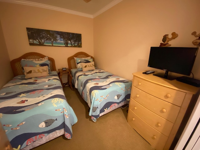 マウイ カマオレ M106 イン キヘイ