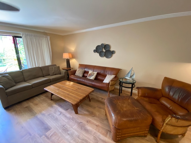 マウイ カマオレ M106 イン キヘイ