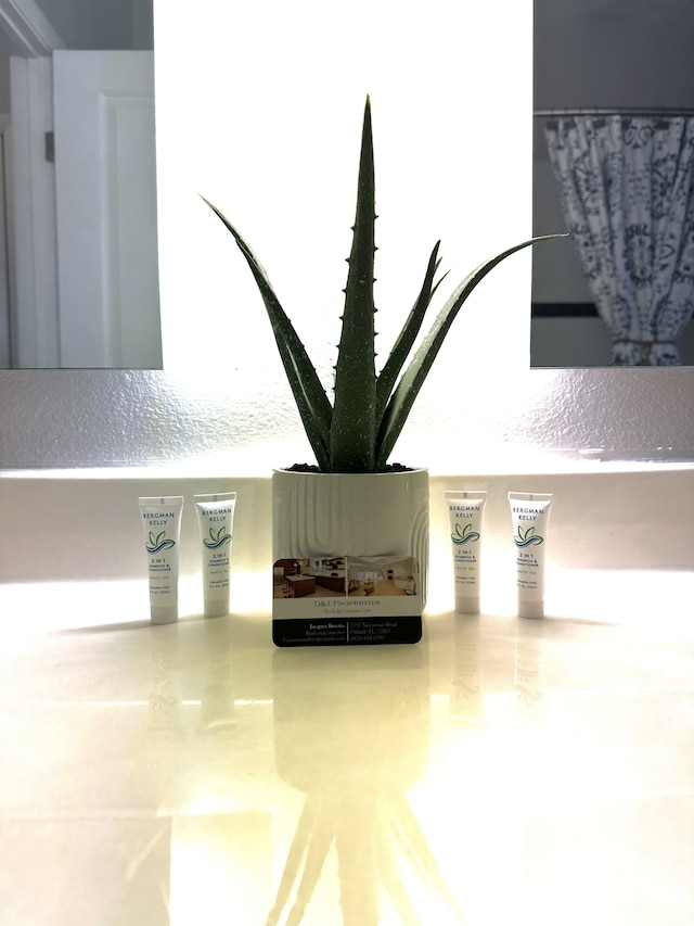 ラグジュアリー＆スペーシャス オーランド