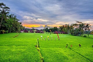 インタン ヴィラ ＆ スイート ウブド