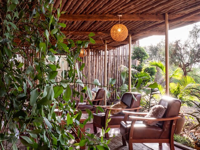 Tulia アンボセリ サファリキャンプ