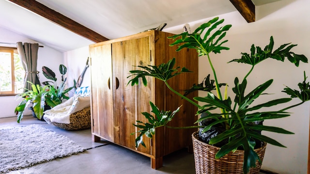 ヴィラ サンパギータ