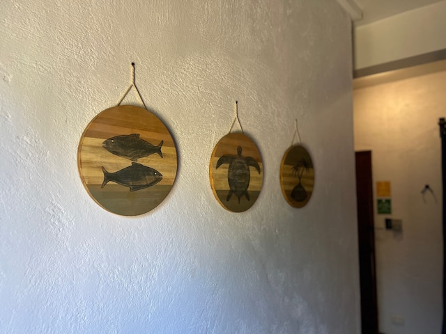 アイランドライフアドベンチャーズ