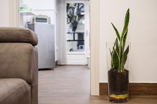 ピアッツァ ニコラ アモーレ 14