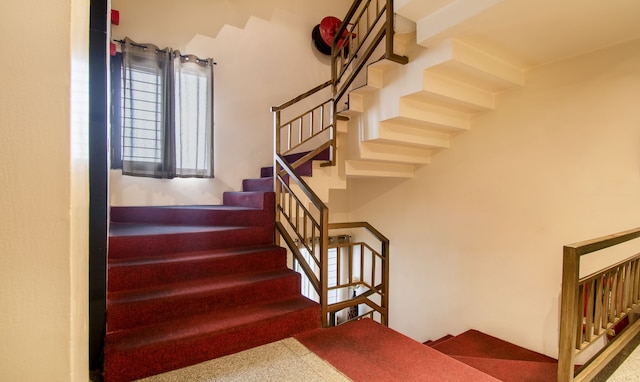 ツリーボー カバナ