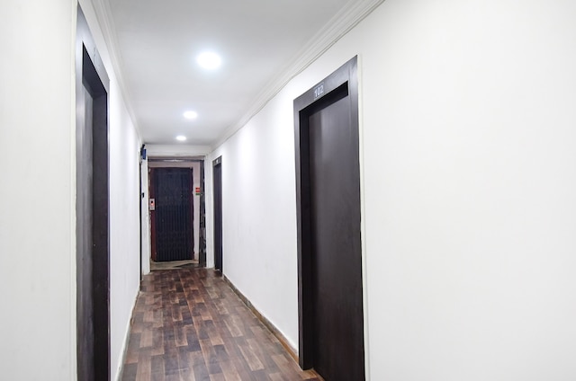 ファブエクスプレス ロイヤル オーク